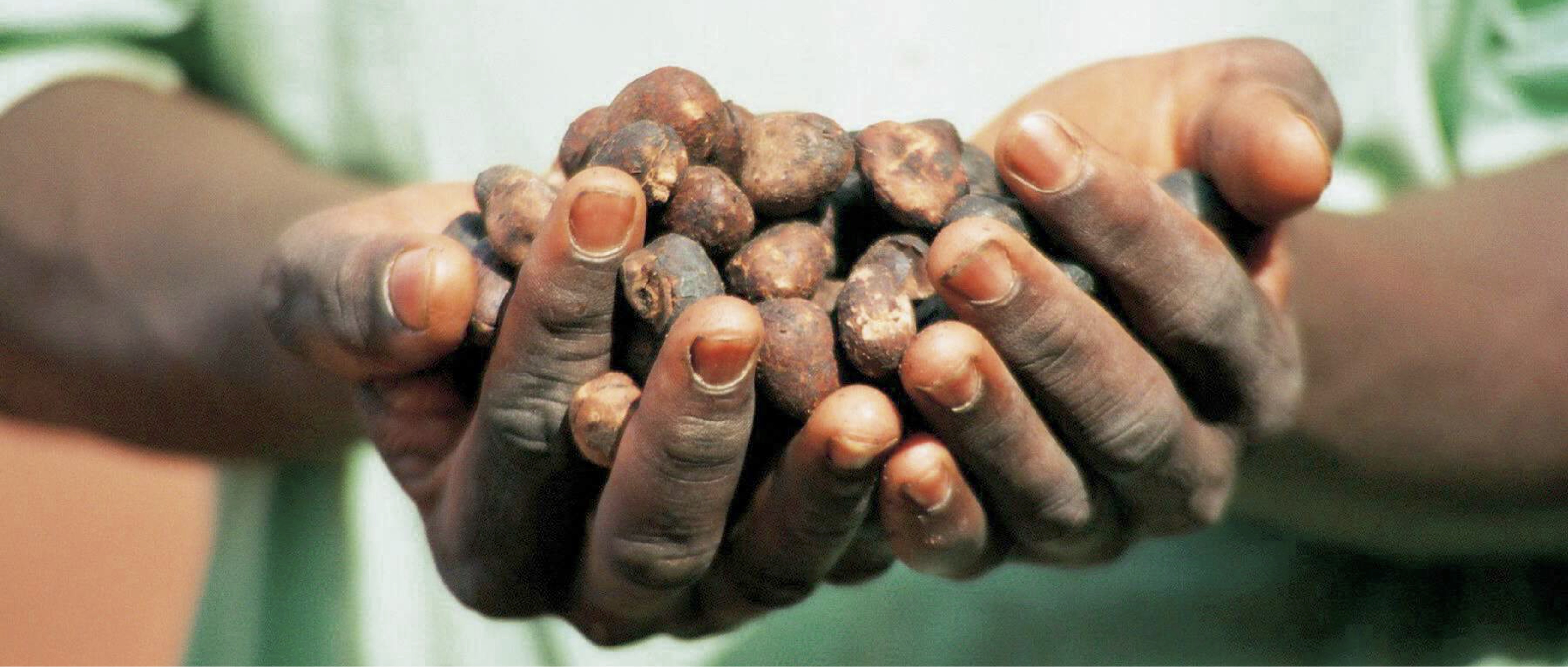 Empowering Women - Shea Butter from Burkina Faso